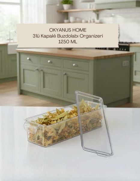 Okyanus Home 3 Adet Kapaklı Mini Buzdolabı Organizeri ve Saklama Kabı 1250ML