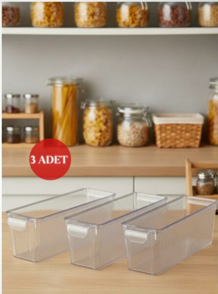 Okyanus Home 3 Adet Kapaklı Mini Buzdolabı Organizeri ve Saklama Kabı 2000ML