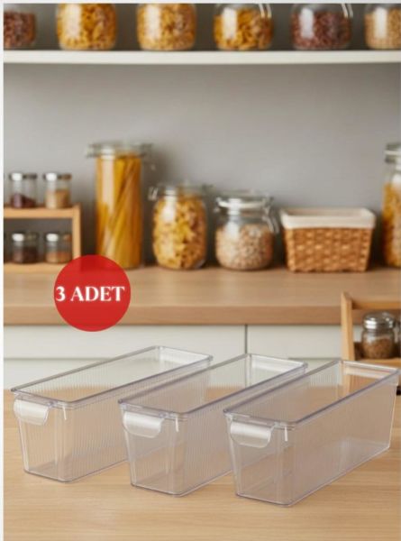 Okyanus Home 3 Adet Kapaklı Mini Buzdolabı Organizeri ve Saklama Kabı 2000ML