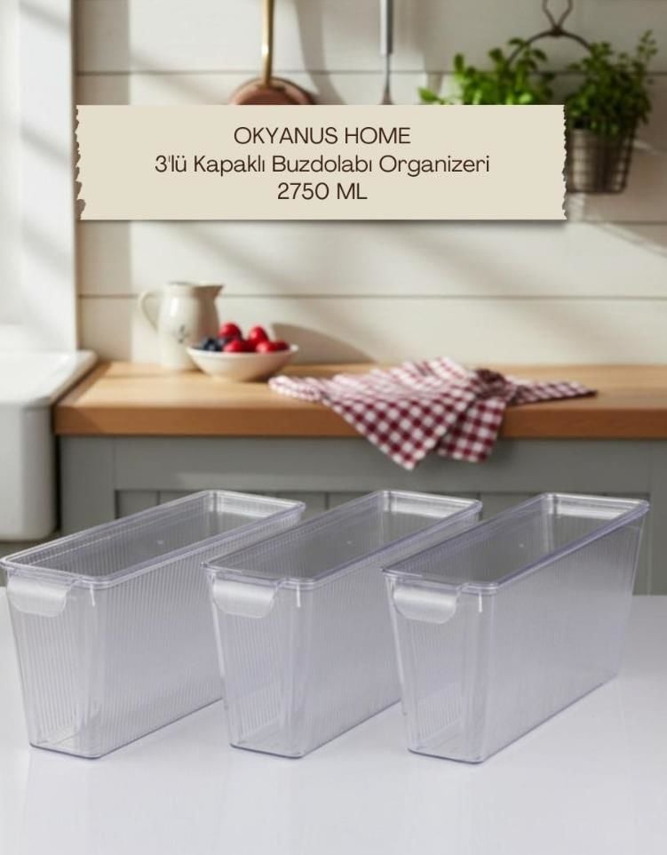 Okyanus Home 3 Adet Kapaklı Mini Buzdolabı Organizeri ve Saklama Kabı 2750ML