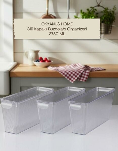 Okyanus Home 3 Adet Kapaklı Mini Buzdolabı Organizeri ve Saklama Kabı 2750ML
