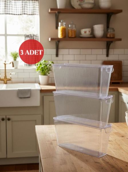 Okyanus Home 3 Adet Kapaklı Mini Buzdolabı Organizeri ve Saklama Kabı 2750ML