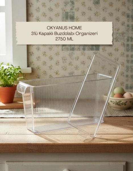 Okyanus Home 3 Adet Kapaklı Mini Buzdolabı Organizeri ve Saklama Kabı 2750ML