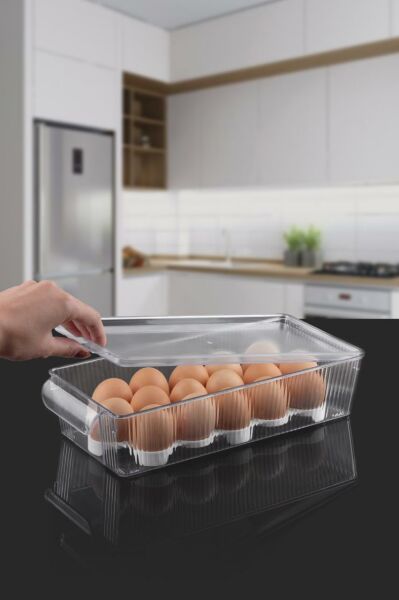 Okyanus Home Kapaklı Yumurta Saklama Kabı 16'lı