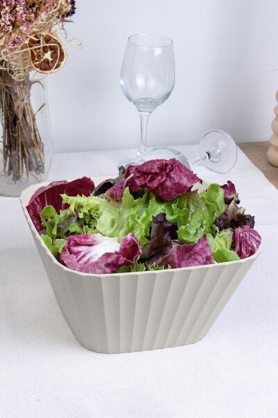 Okyanus Home Coliseum Bej Çok Amaçlı Kase