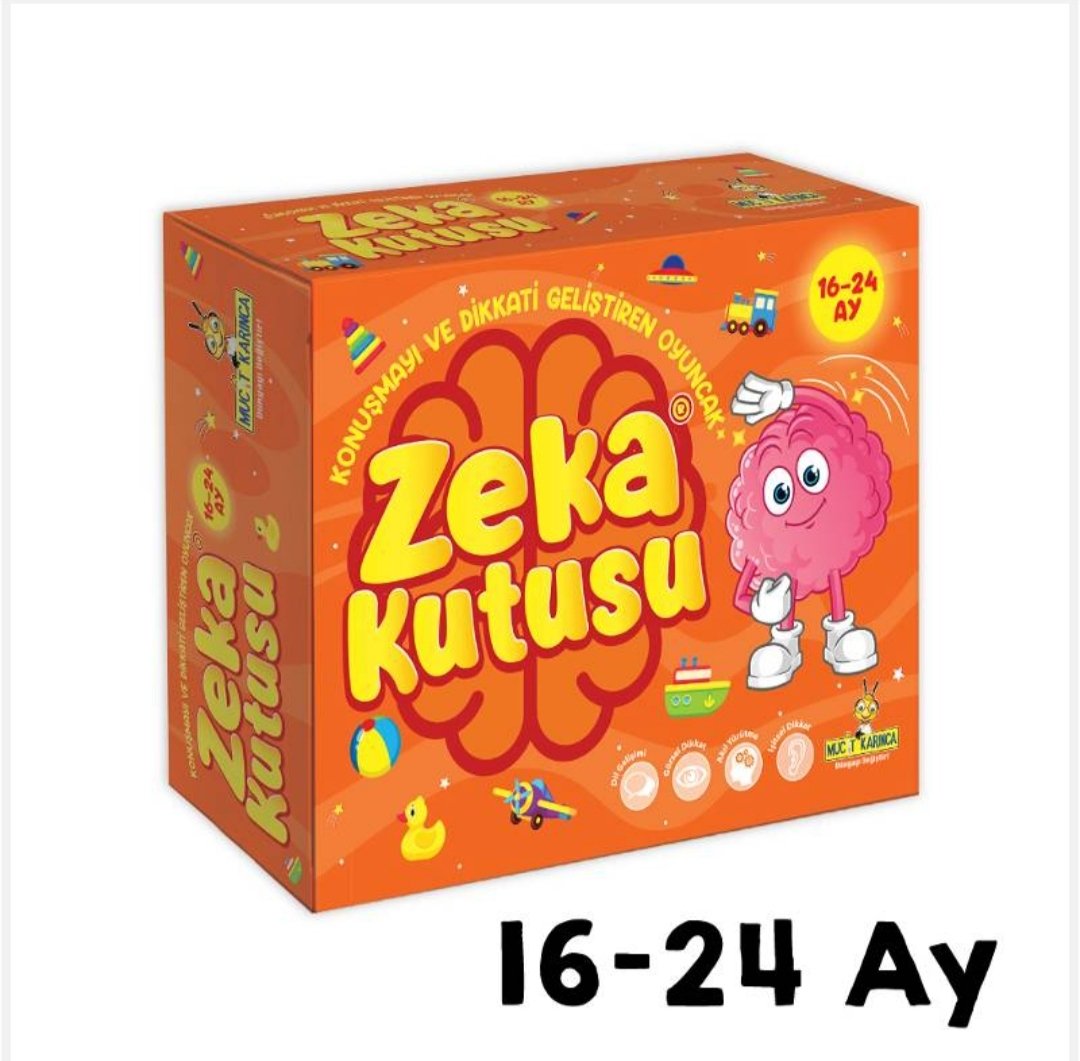 Zeka Kutusu 16-24 Ay