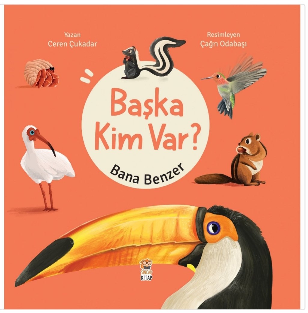 Başka Kim Var Bana Benzer (Hareketli-Popup Kitap)