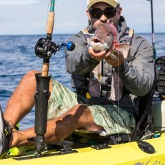 HOBIE H-RAIL WITH INTEGRATED PATENTED RAM® HAND-TRACK™