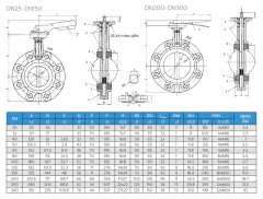 AYVAZ KV4 KELEBEK VANA LUG DN40 PN10/16