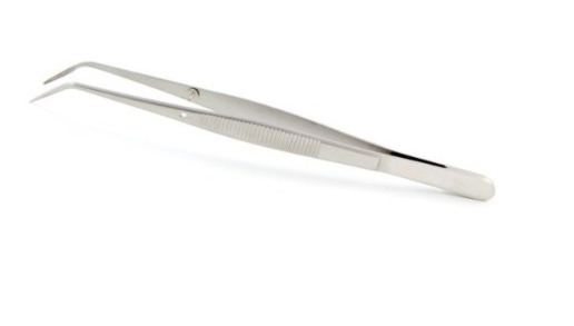 Hauptner Veteriner Dental Penset 15 cm