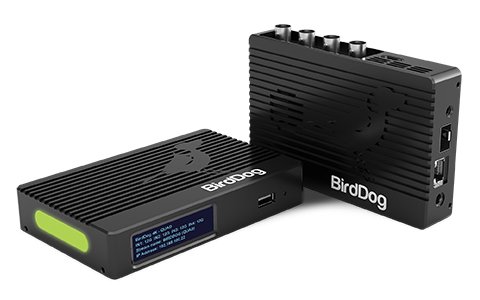 BirdDog 4K Quad Converter