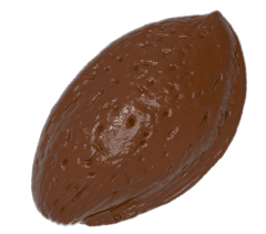 0005 - Almond Chocolate