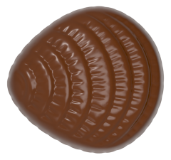 0008 - Mussel chocolate bar injection polycarbonate moulds