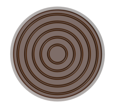 1666 - Çikolata Polikarbonat Kalıp