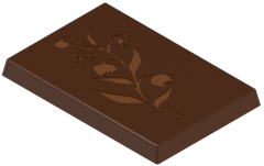1723 - Rectangular Decorated Chocolate Polycarbonate Mold
