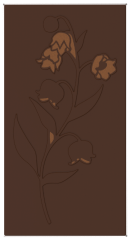 1731 - Tablet Çikolata Polikarbonat Kalıp