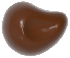 0119 - Spesiyal Dekor Pralin Çikolata Kalıbı