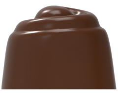 1771 - Chocolate Polycarbonate Mold