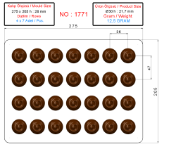 1771 - Chocolate Polycarbonate Mold