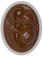 0200 - Oval Kiraz Kabartmalı Çikolata Kalıbı