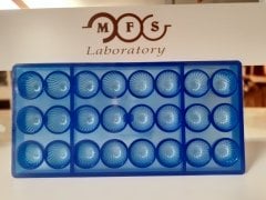 0227 - Round Praline Chocolate Mold