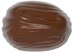 0250 - Oval Praline Chocolate Mold