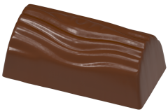 0253 - Rectangular Praline Chocolate Mold