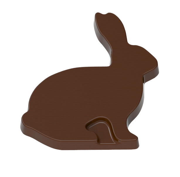 1229 - Rabbit Chocolate Polycarbonate Mold