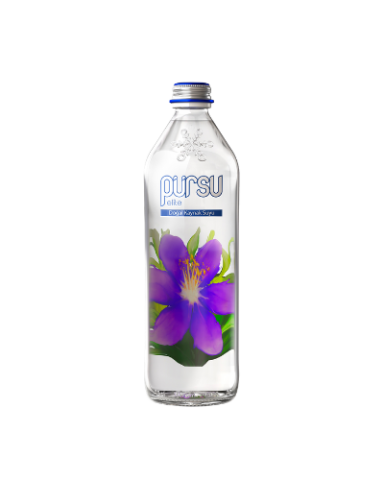 330 ml Cam Şişe