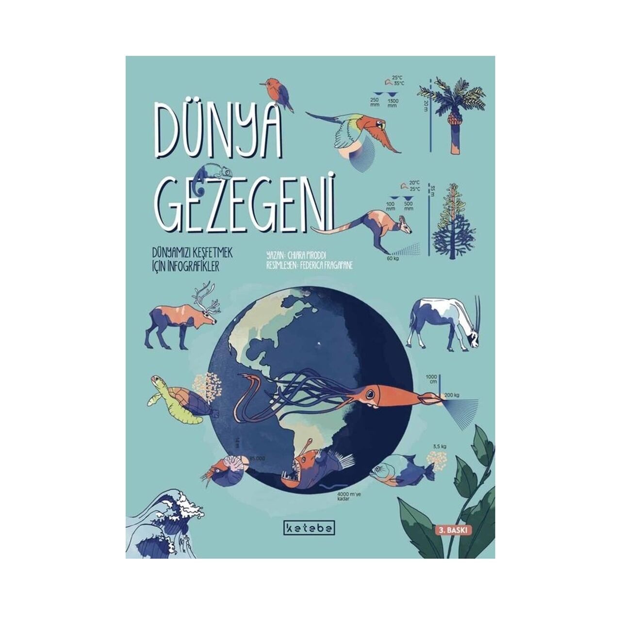 Dünya Gezegeni