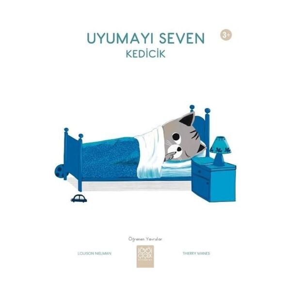 Uyumayı Seven Kedicik