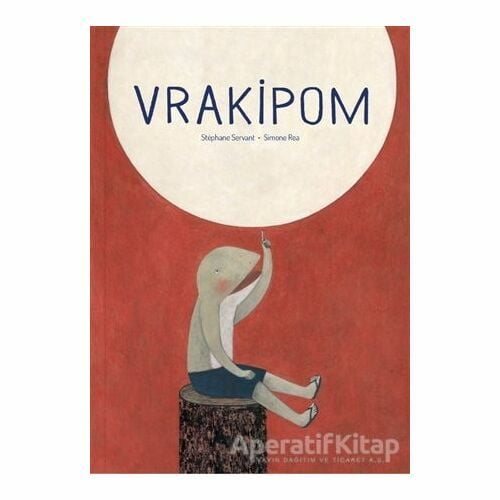 Vrakipom