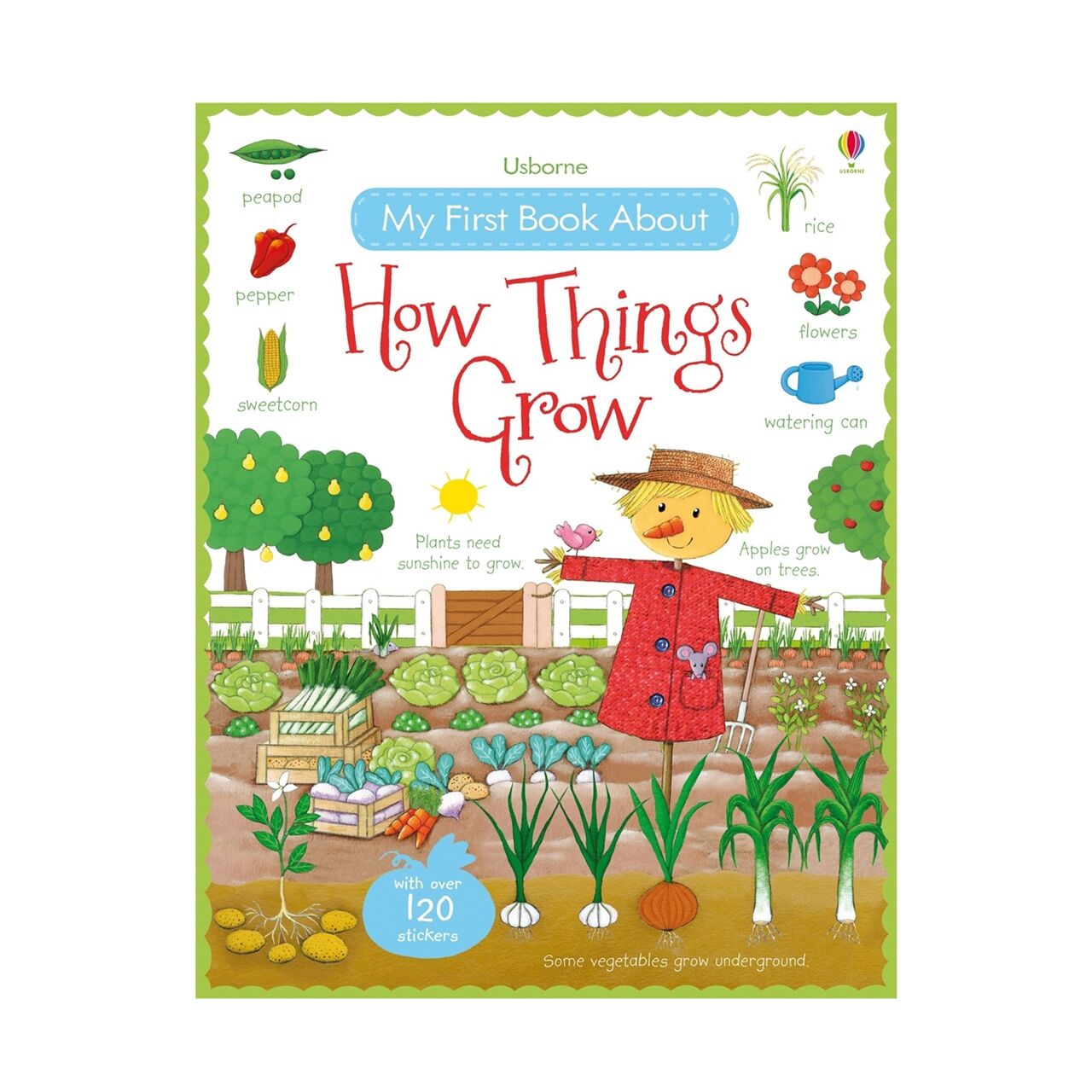 My First Book About How Things Grow