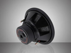 For-X X-315 38cm D2 Subwoofer