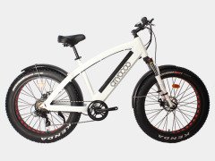 Citycoco Fatbike