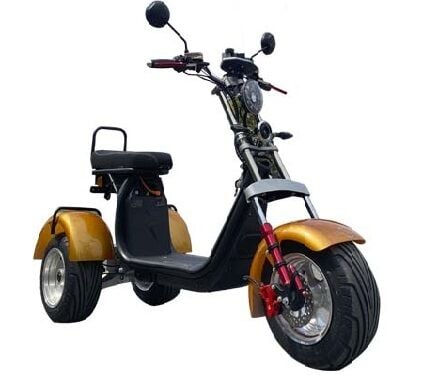 Citycoco Trike CP-7