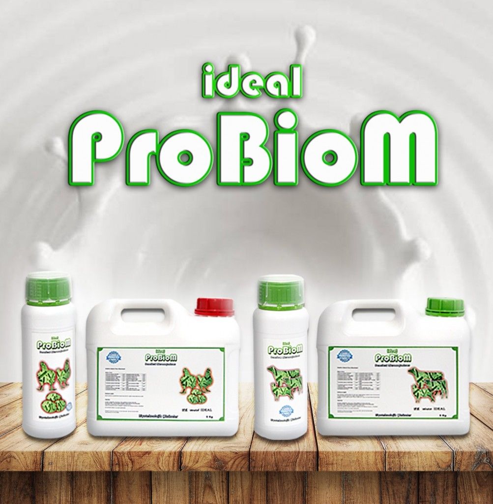 Probiom Liquid 1 Lt