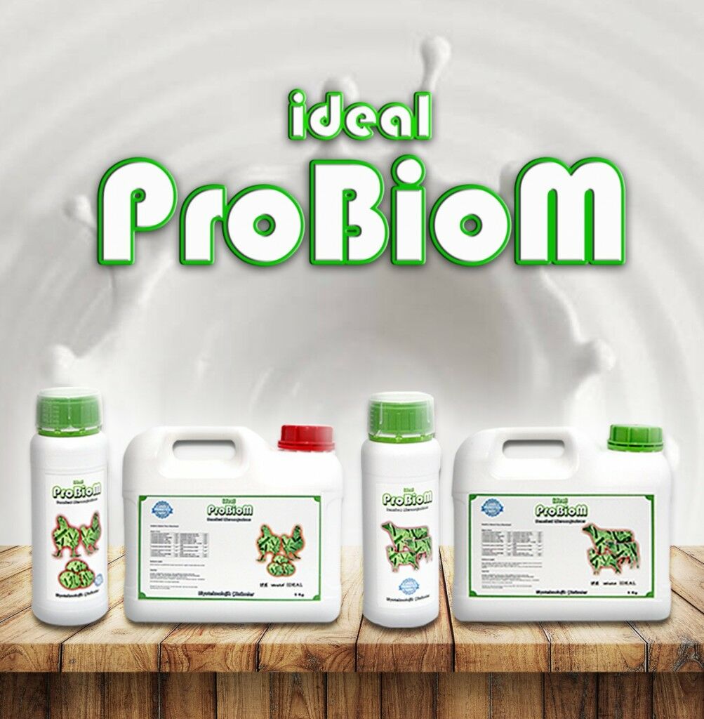 Probiom Liquid 5 Lt