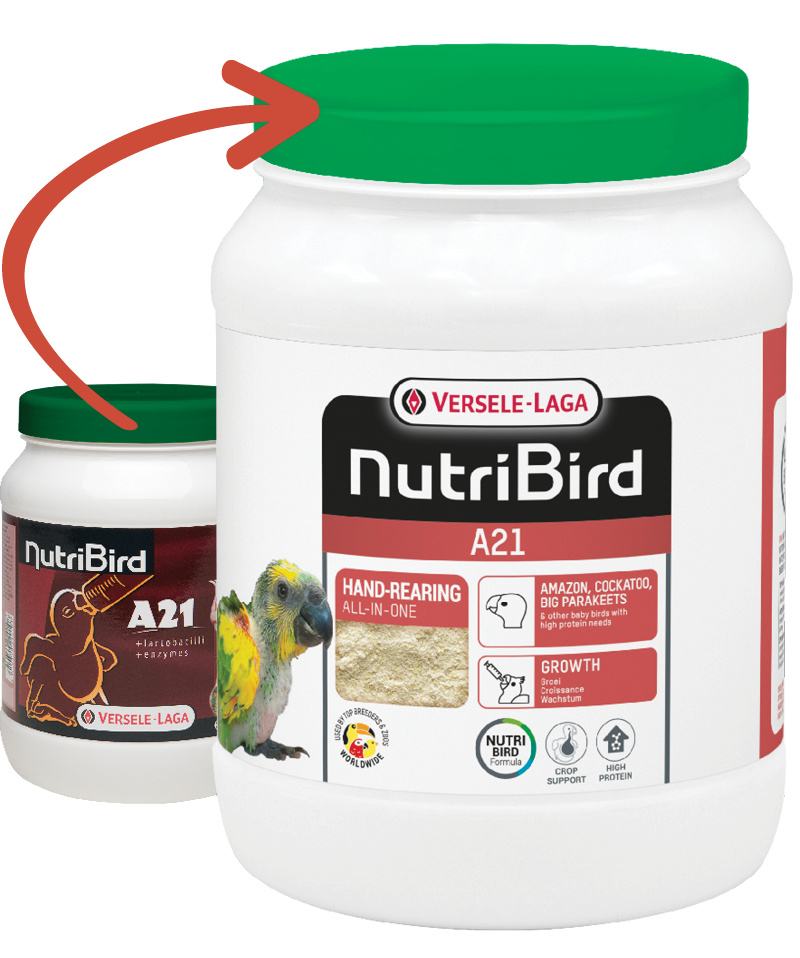 Nutrıbırd A21 Elle Yetiştirme Maması 800g