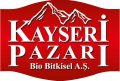 Kayseri Pazarı