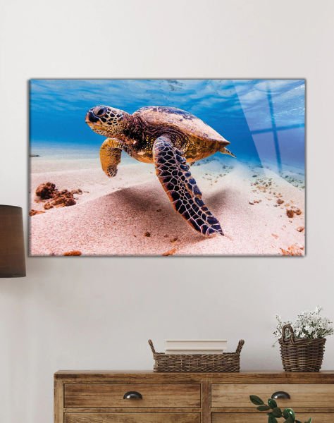 Deniz Kaplumbağası Cam Tablo  4mm Dayanıklı Temperli Cam, Sea Turtle Glass Wall Art