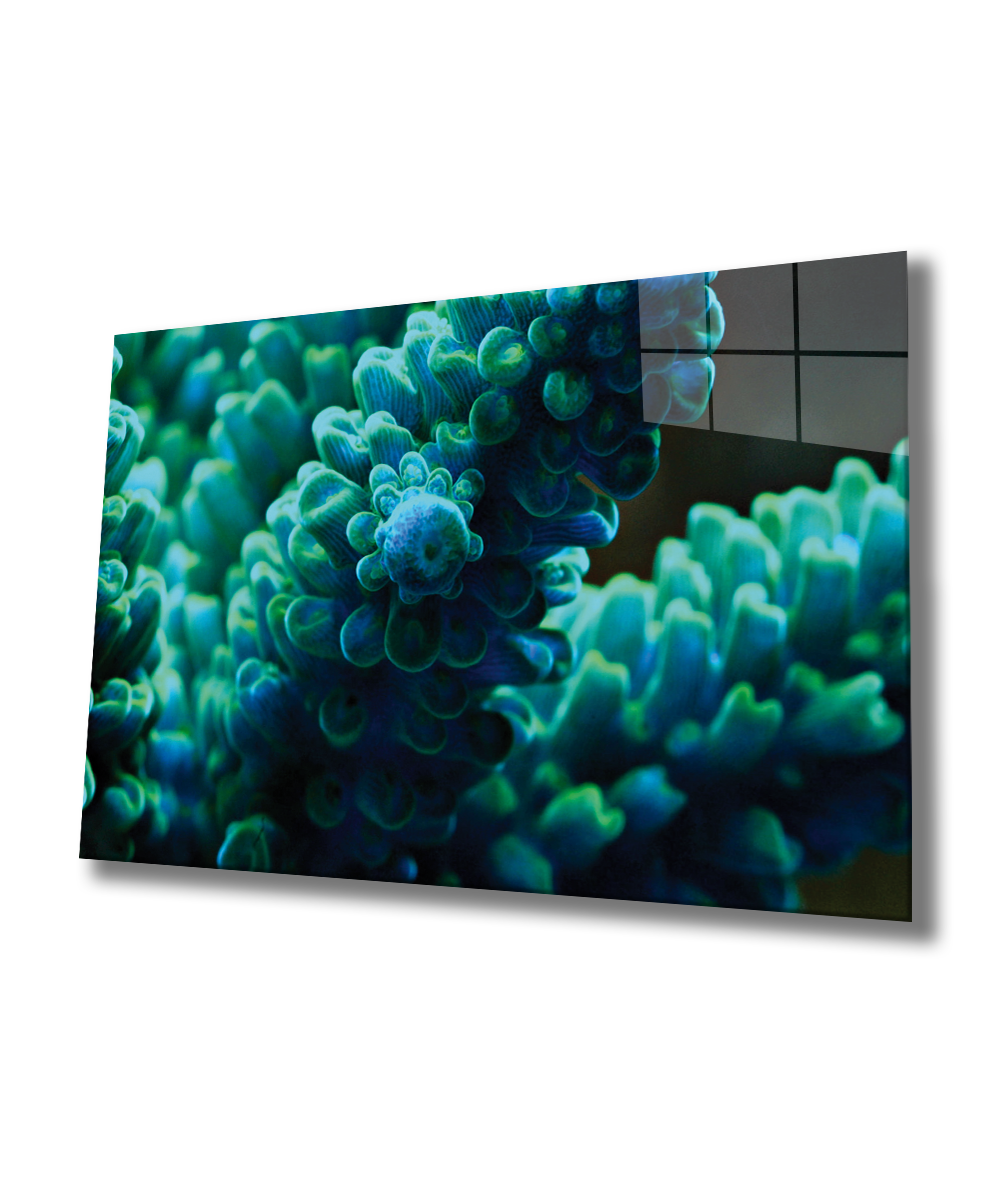 Sualtı Cam Tablo  4mm Dayanıklı Temperli Cam, Marine Life Glass Wall Art