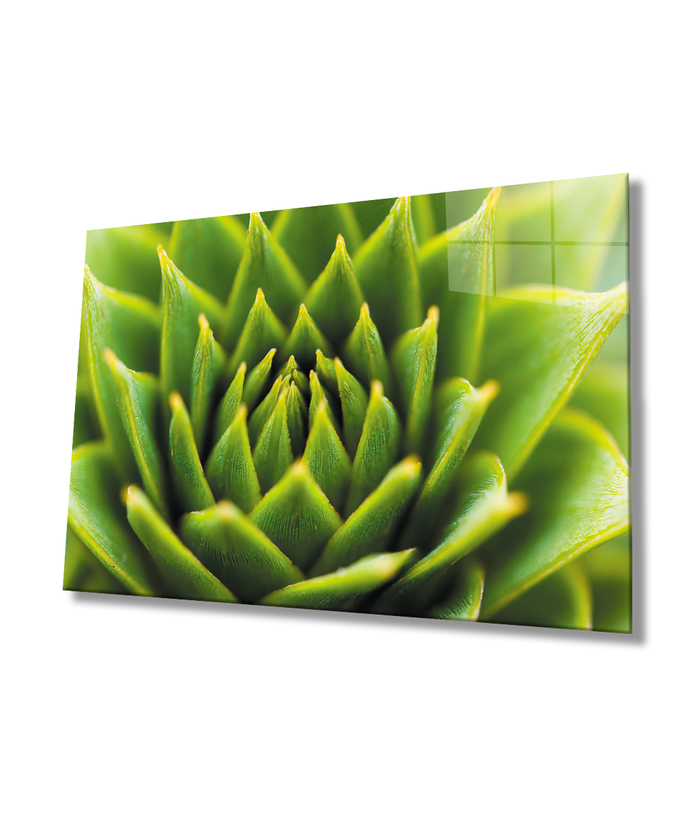 Yeşil Bitki  Cam Tablo  4mm Dayanıklı Temperli Cam Green Plant Glass Wall Art