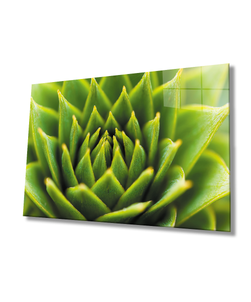 Yeşil Bitki  Cam Tablo  4mm Dayanıklı Temperli Cam Green Plant Glass Wall Art