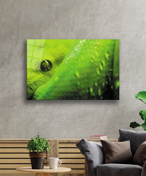 Yeşil Yılan Cam Tablo  4mm Dayanıklı Temperli Cam Green Snake Glass Wall Art