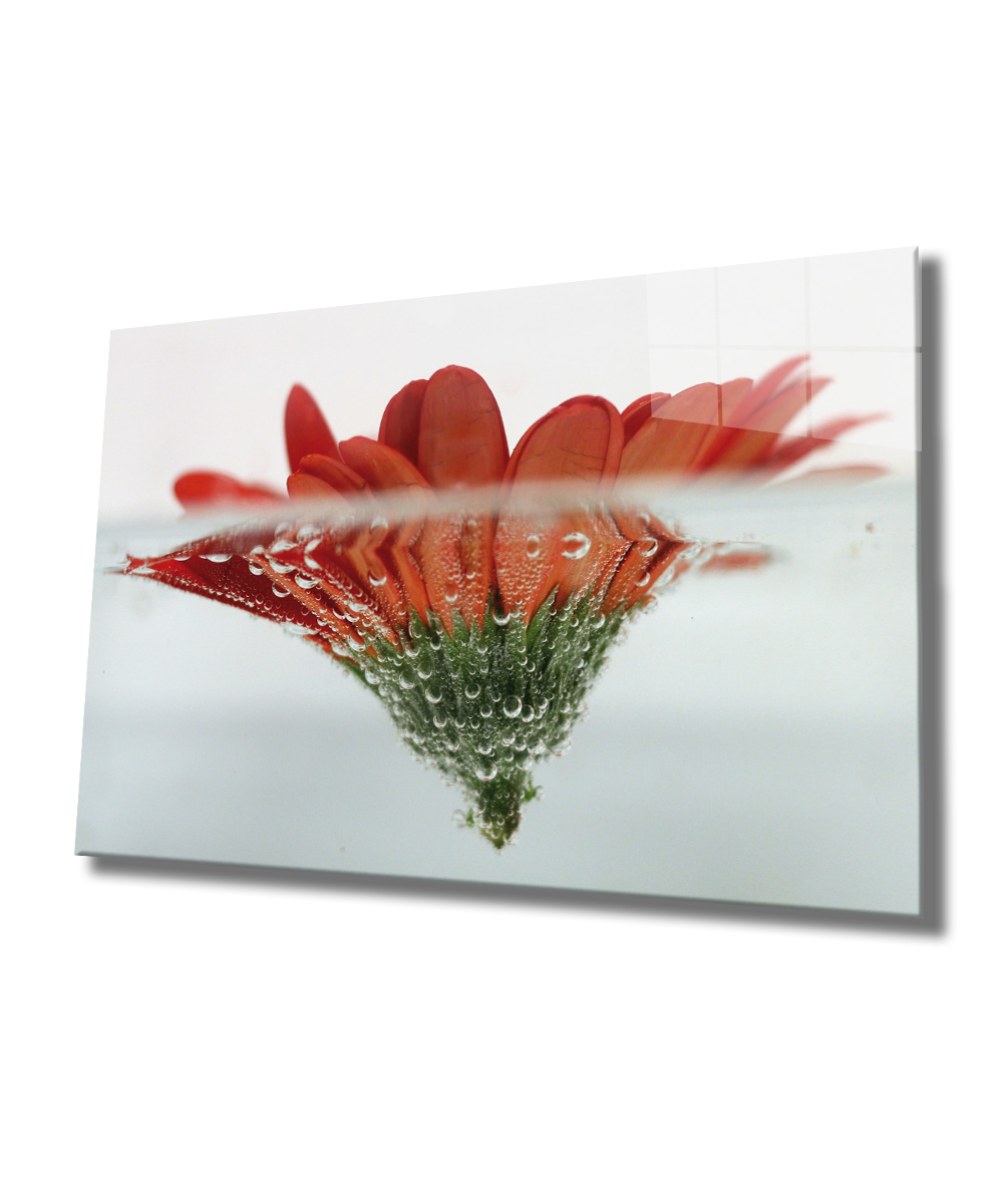 Suda Kırmızı Çiçek Cam Tablo  4mm Dayanıklı Temperli Cam, Red Flower Glass Wall Art
