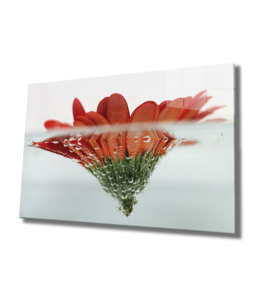 Suda Kırmızı Çiçek Cam Tablo  4mm Dayanıklı Temperli Cam, Red Flower Glass Wall Art