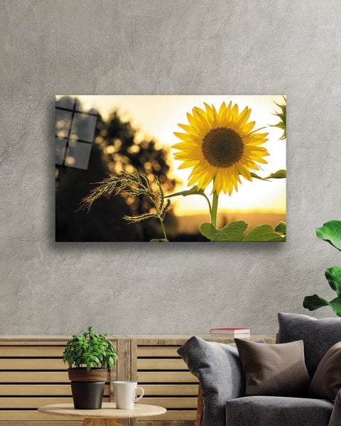 Ayçiçeği Cam Tablo  4mm Dayanıklı Temperli Cam  Sunflower Glass Wall Art