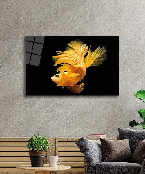 Sarı Balık Cam Tablo  4mm Dayanıklı Temperli Cam, Yellow Fish Glass Wall Art