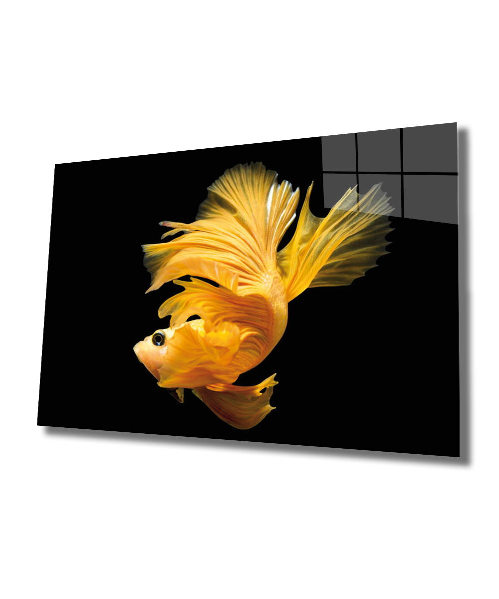 Sarı Balık Cam Tablo  4mm Dayanıklı Temperli Cam, Yellow Fish Glass Wall Art